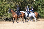 WJ6_8345