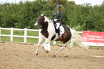 SBM_001415
