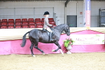 SBM_07304