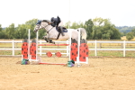 SBM_026933