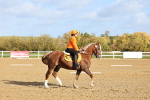 SBM_000737