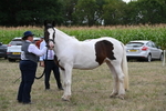 WJ6_5562