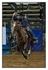 Calf Roping Feature