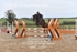 BPP_1257