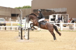 SBM_007919