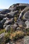 GeorgianBay11-009
