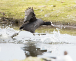 20140503-3K8A0795