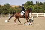 SBM_022641