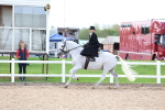 SBM_03220
