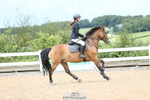 Class 22a&b  Pony Discovery & 90 Open portfolio