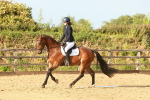SBM_000481