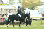 SBM_66398