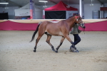 SBM_00271