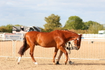 SBM_18324