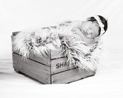 Baby Harper portfolio