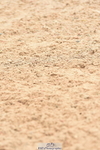 231013A-130736-01715