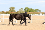 SBM_17659
