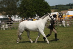 SBM_07625