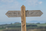 Isel Cross-577