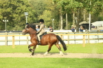 SBM_69057