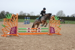 Unaffiliated Show Jumping portfolio