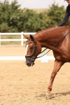 SBM_006485