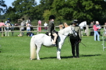 SBM_39578