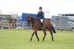SBM_15947