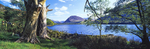 A Crafty Peep Loweswater