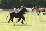 SBM_02401