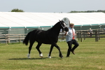 SBM_02252