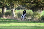 WJ6_5476