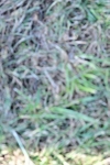 SBM_19842