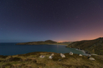 Twilight Sheep