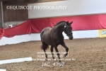 JAC_4797