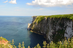 Bempton Cliffs, East Yorkshire