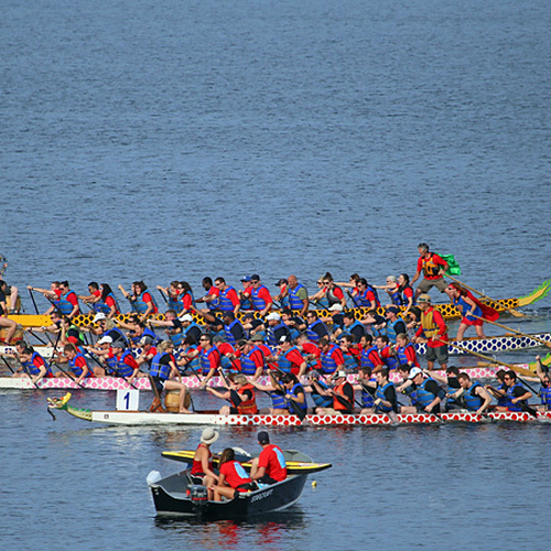 Saint John Dragon Boat Festival Renforth New Brunswick Canada