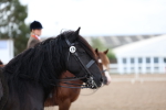 SBM_00320