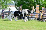 SBM_12209