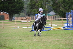 WJ6_0364