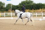 SBM_008017