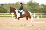 SBM_006909