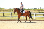 SBM_005809
