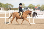 SBM_15964