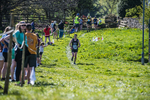 The Finish-1616