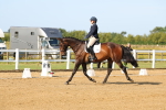 SBM_010601