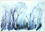 SM40  Trees at the edge of a wood in winter