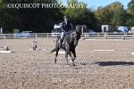 BPP_8915