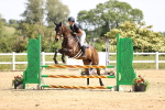 SBM_003982