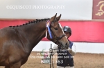 BPP_1363